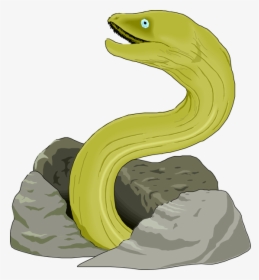 Eel Clipart Free Clipart Images - Green Moray Eel Drawing, HD Png Download, Transparent PNG