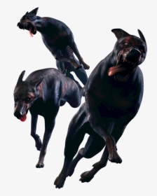Resident Evil 6 Leon Renderresident Evil Zombie Dogs - Resident Evil Operation Raccoon City, HD Png Download, Transparent PNG