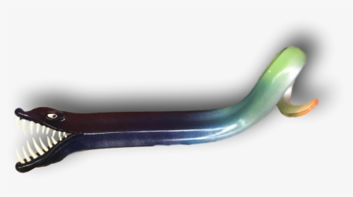 Eel, HD Png Download, Transparent PNG