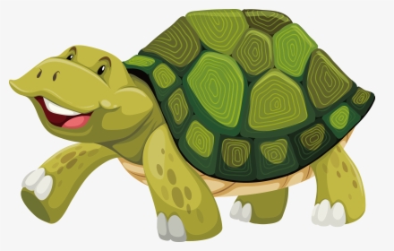 Turtle Shell Stock Photography Illustration - Turtles At The Zoo Clipart, HD Png Download, Transparent PNG