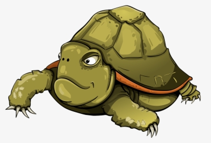 Tortoise, Turtle, Shell, Green, Animals - Turtle Vector, HD Png Download, Transparent PNG