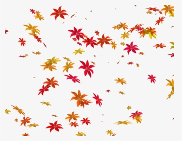 Transparent Falling Flowers Png - Flowers Falling Transparent Background, Png Download, Transparent PNG