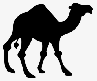 Camel Black Vector Silhouette - Clip Art Camel, HD Png Download, Transparent PNG