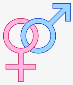 Male And Female Symbol Linked, HD Png Download, Transparent PNG