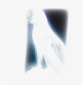 Pile Of Bones Png , Png Download - Penguin, Transparent Png, Transparent PNG