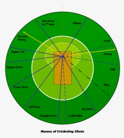 File - Cricketshotsmswd - Cricket Shot Selection Chart, HD Png Download, Transparent PNG