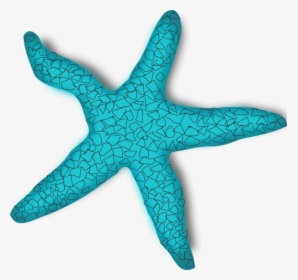Starfish Clipart Turquoise - Sea Star In Cartoon, HD Png Download, Transparent PNG