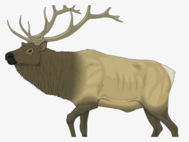 Moose Clipart Caribou - Elks Lodge Santa Clarita, HD Png Download, Transparent PNG