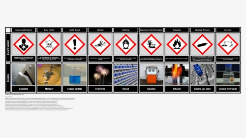 Health Hazard Symbols With Examples, HD Png Download, Transparent PNG
