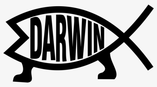 Darwin Evolution Clip Arts - Reptile, HD Png Download, Transparent PNG