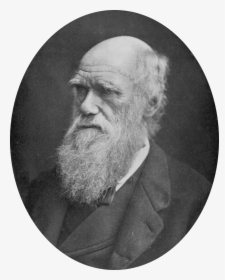 Nie 1905 Darwin Charles - Charles Darwin, HD Png Download, Transparent PNG