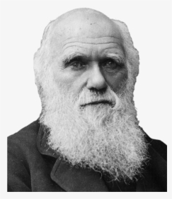 Charles Darwin Portrait - Charles Darwin, HD Png Download, Transparent PNG