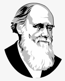 Clip Art Big Image Png - Charles Darwin Simple Drawing, Transparent Png, Transparent PNG