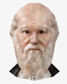 Transparent Einstein Hair Png - Charles Darwin Png, Png Download, Transparent PNG