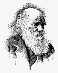 Evolutionary Medicine And Darwin, HD Png Download, Transparent PNG