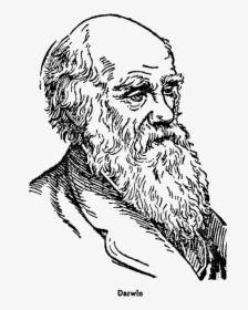 Charles Lyell And Charles Darwin Macroevolutionnet - Charles Darwin Para Dibujar, HD Png Download, Transparent PNG