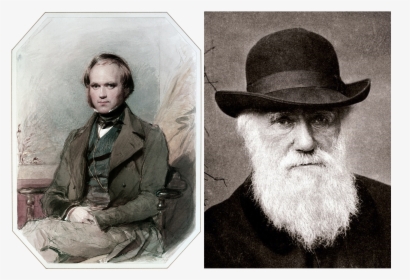 Darwin - Charles Darwin, HD Png Download, Transparent PNG