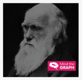 Asset 9@4x - Charles Darwin, HD Png Download, Transparent PNG