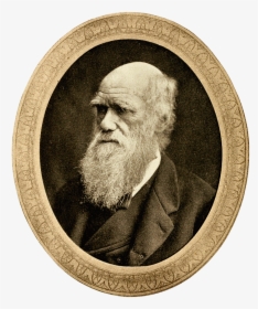 Charles Darwin, HD Png Download, Transparent PNG