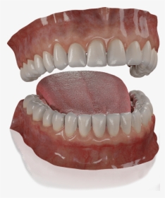 # - Mouth 3d Model Free Download, HD Png Download, Transparent PNG