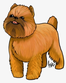 Jen S May Dog - Yorkshire Terrier, HD Png Download, Transparent PNG