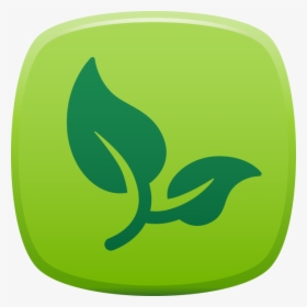 Landscaping - Landscape Design, HD Png Download, Transparent PNG