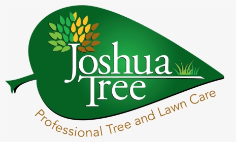 Joshua Tree, HD Png Download, Transparent PNG