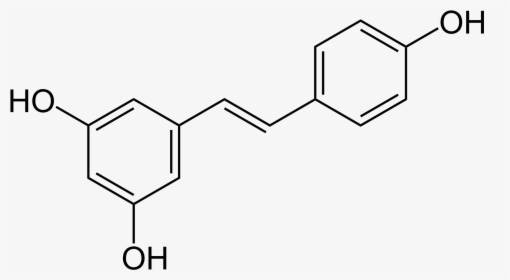 Resveratrol Trans - Catechin Structure, HD Png Download, Transparent PNG