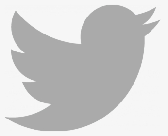 Twitter Logo Png 2019, Transparent Png, Transparent PNG