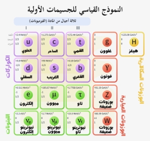 Standard Model Of Elementary Particles Ar - Standard Model Of Elementary Particle, HD Png Download, Transparent PNG