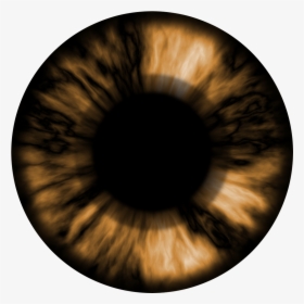 Brown Eyes Png Image - Brown Eye Lens Png, Transparent Png, Transparent PNG