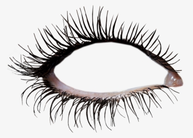 #cílios #olhos #eyelashes #eyes @lucianoballack - Eye Makeup Png, Transparent Png, Transparent PNG
