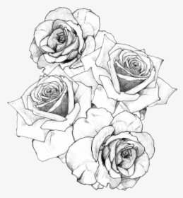 Bouquet Of Roses Drawing, HD Png Download, Transparent PNG