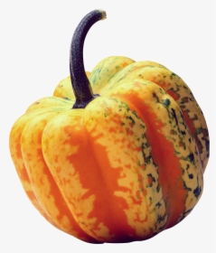 Pumpkin Png Image - Orange Pumpkin Transparent Backgroimd, Png Download, Transparent PNG