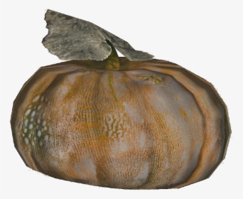 Fallout Gourd, HD Png Download, Transparent PNG