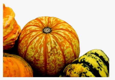 #ftestickers #autumn #fall #nature #pumpkins #gourds - Pumpkin, HD Png Download, Transparent PNG