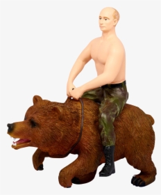 Oso Putin - Grizzly Bear, HD Png Download, Transparent PNG