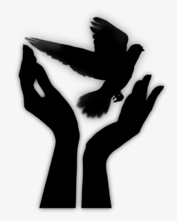 Hand, Bird, Release, Sticker, Clipart - Let It Go Wings, HD Png Download, Transparent PNG