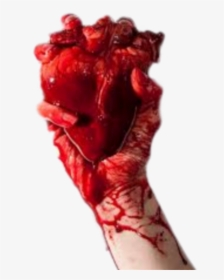 #humanheart #hand #handholding #blood #heart - Hand Holding Real Heart, HD Png Download, Transparent PNG