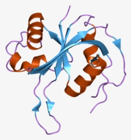 Pdb 2zbn Ebi, HD Png Download, Transparent PNG