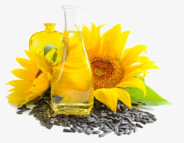 Sunflower Seed Png - Buy Sunflower Seed Products, Transparent Png, Transparent PNG