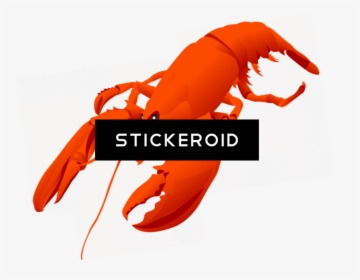 Lobster Vector , Png Download - Cartoon Transparent Background Lobster, Png Download, Transparent PNG
