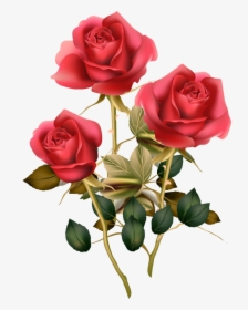 Floral Design Png Transparent Image - Red Rose Good Morning Rose Flower, Png Download, Transparent PNG