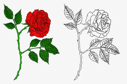 Rose Tattoo Png Free Download - Free Tattoo Design Rose, Transparent Png, Transparent PNG