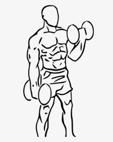 Collection Of Drawing - Dumbbell Curl Png, Transparent Png, Transparent PNG