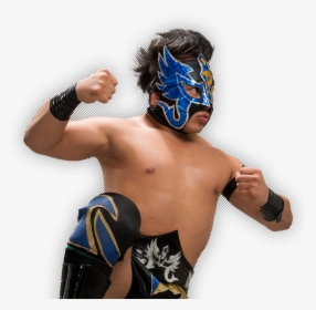Luchador Aaa, HD Png Download, Transparent PNG