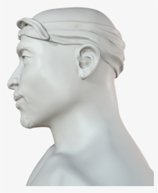 Bust , Png Download - Bust, Transparent Png, Transparent PNG