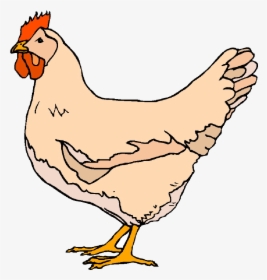 Chicken Dinner Clipart Library Free Images Transparent - Clipart Chicken, HD Png Download, Transparent PNG
