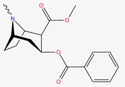 Cocaine Structure - Structure Of Coca Alkaloid, HD Png Download, Transparent PNG