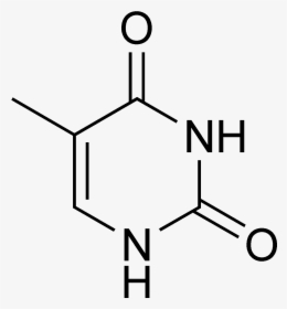 Thymine Chemical Structure, HD Png Download, Transparent PNG
